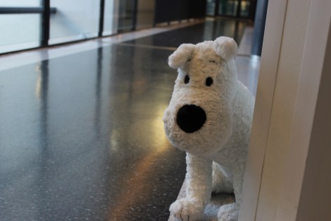 Tintti-sarjakuvista tuttu Milou-koira seikkaili Tilussa naamiaispäivänä kaksin kappalein. Ensiviikon kuvakoosteessa lukijat näkevät myös Tintit! Kuva Pipsa Hämäläinen ja Tua Valtonen.