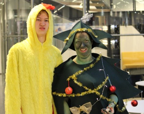 Kana ja joulukuusi, värien harmoniaa! Kuva: Antti Pentikäinen